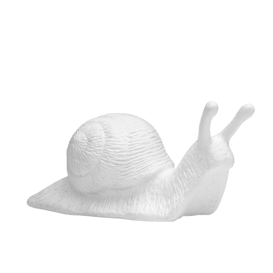 Avant-garde Snail, 2016