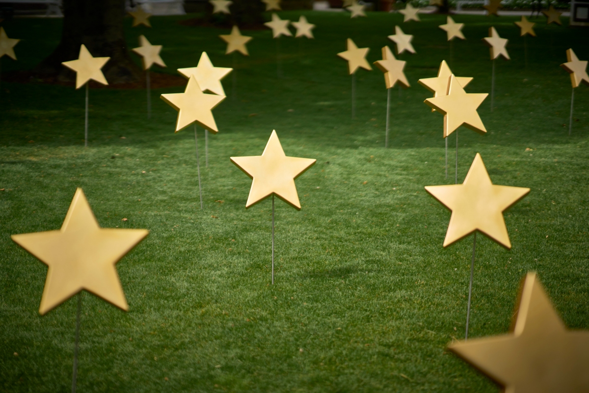 Garden of Stars l 2025 Werk Ottmar Hörl