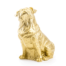 Mops, 2008