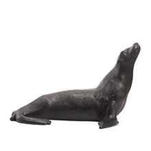 Seelöwe, 2010