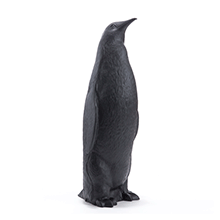 Penguin head up, 2006
