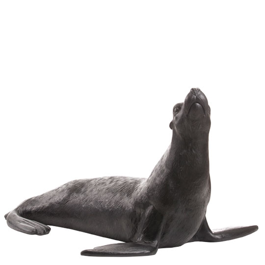 Sea Lion, 2010