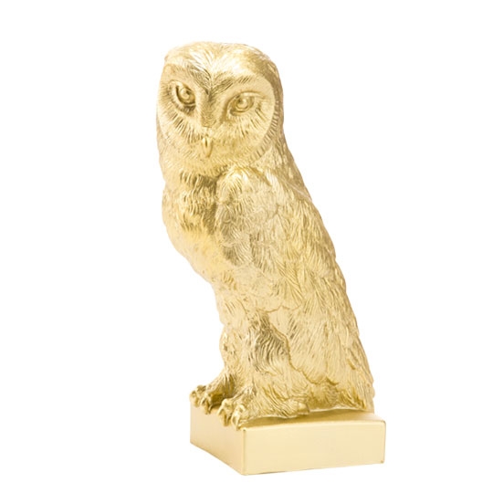 Owl, 2004