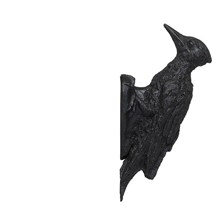 Zorro (black Woodpecker, straight head), 2018
